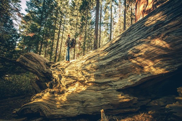 How can tourists explore the history of the British press through guided tours?