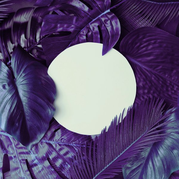 Can you find a holiday rental in Edinburgh that includes ghost hunting tours?