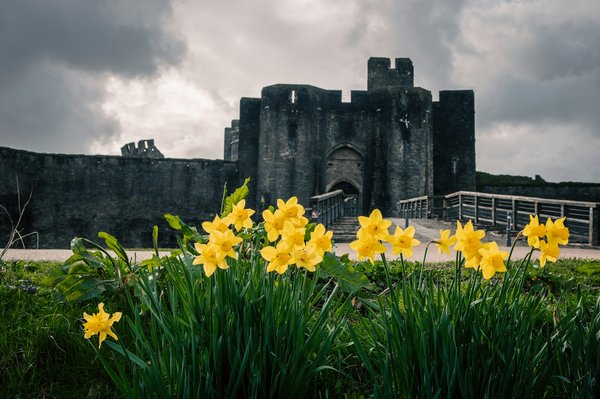 Which castles in Wales offer the best medieval banquets?